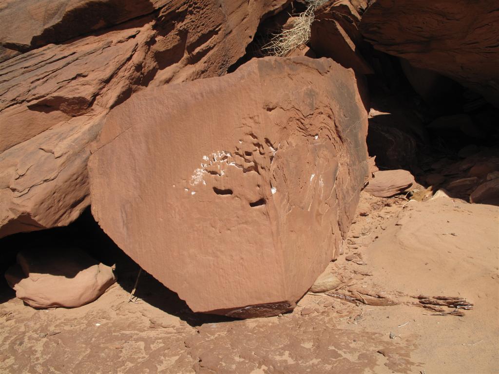 IMG_5484 (Large).JPG IMG_5484 (Large).JPG